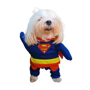 Superman Kostüm (L) Beden