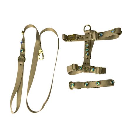 SWAROVSKİ TAŞLI METAL KLİPSLİ  GOLD TASMA SETİ S BEDEN THT