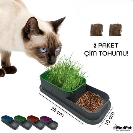 Topraksız Kedi Çimi Kabı