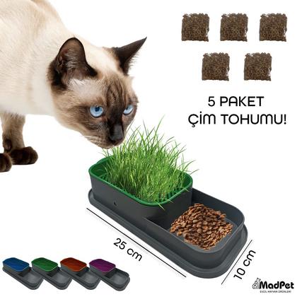 Topraksız Kedi Çimi Kabı