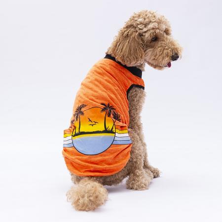 Turuncu Sunrise Büyük Tişört 7XL YPAW-24856
