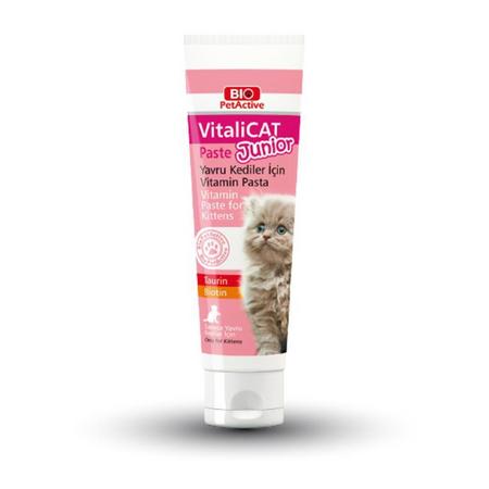 Vitalicat Past Junior (Yavru Kediler için)