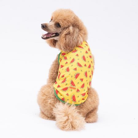 Water Melon Büyük Tişört 7XL PAW-25852