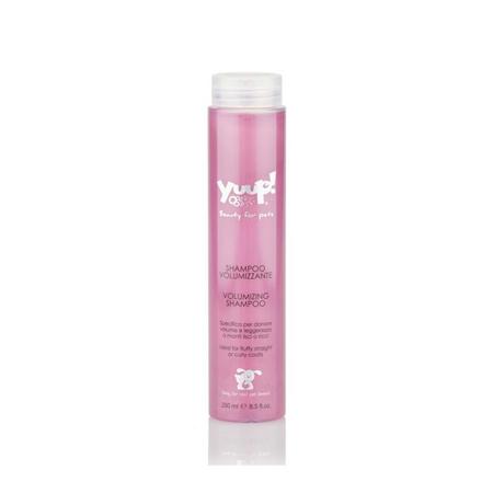 YUUP! HOME LİNE HACİM VEREN ŞAMPUAN 250 ML ASP-YHSV250