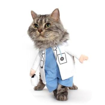kedi ve köpekler için doktor kostümü s beden